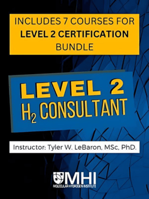 MHI: H2 Consultant Level 2 Certification